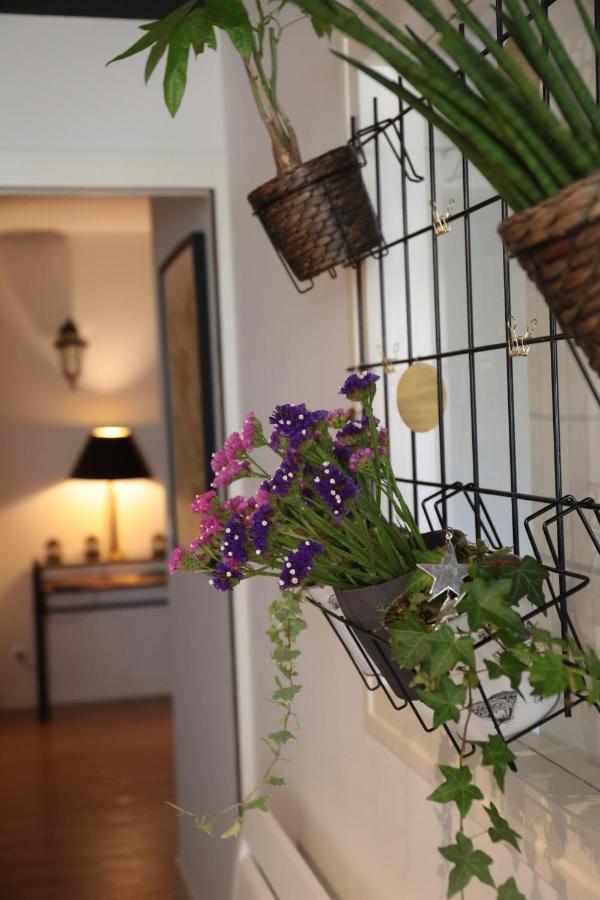 Le Floreal, Great Quiet Appt In Very Town Center Apartment Tours Ngoại thất bức ảnh